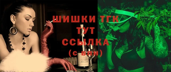 тгк Аркадак
